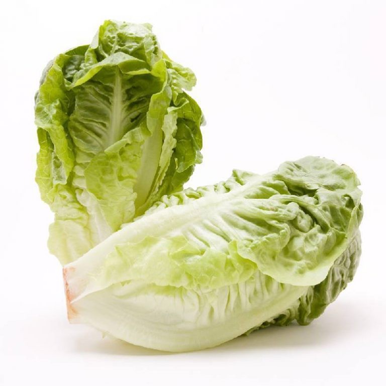 Little Gem Lettuce Twin Pack 