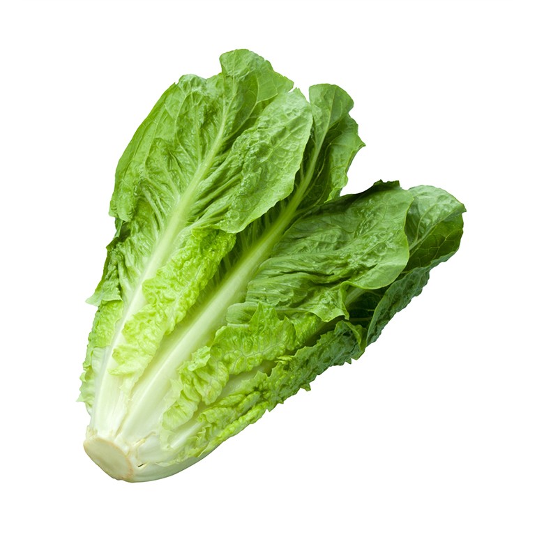 Cos Lettuce - Each