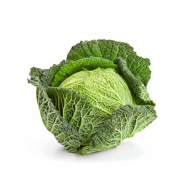 Savoy Cabbage