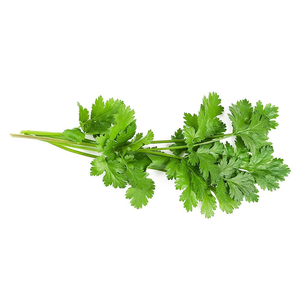 Coriander (100g)