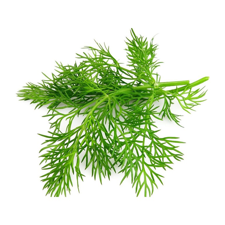 Dill 100g